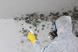 Best Residential Mold Inspection & Testing  in USA